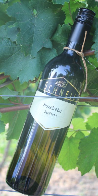 <br>2024er Huxelrebe feinfruchtig<br>